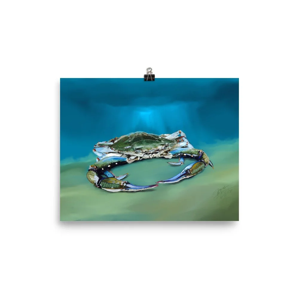 enhanced-matte-paper-poster-(in)-8x10-transparent-68d5d751a8458.jpg