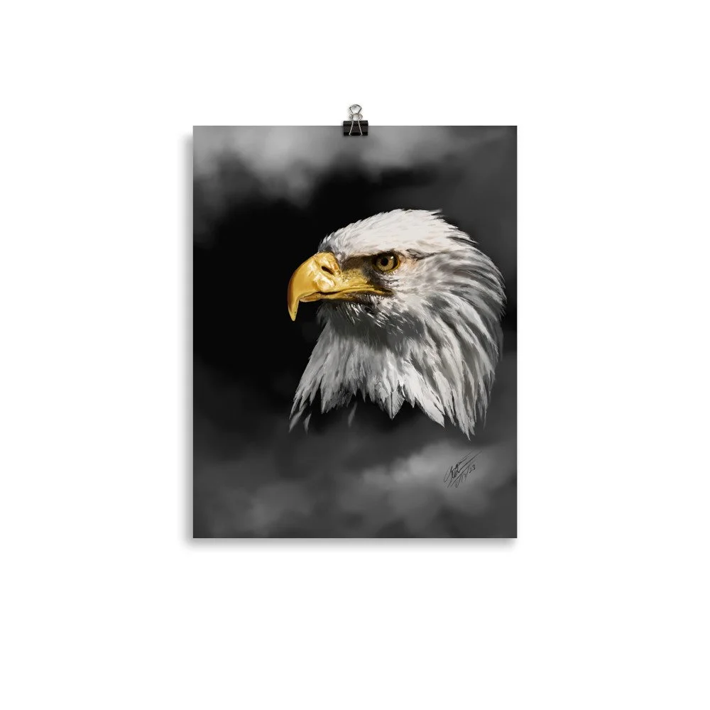 enhanced-matte-paper-poster-(in)-11x14-transparent-68d5deba865a4.jpg
