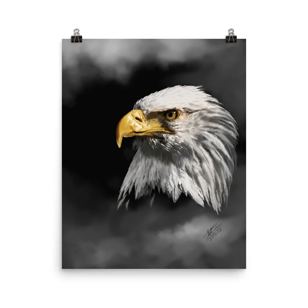 enhanced-matte-paper-poster-(in)-16x20-transparent-68d5deba871a2.jpg