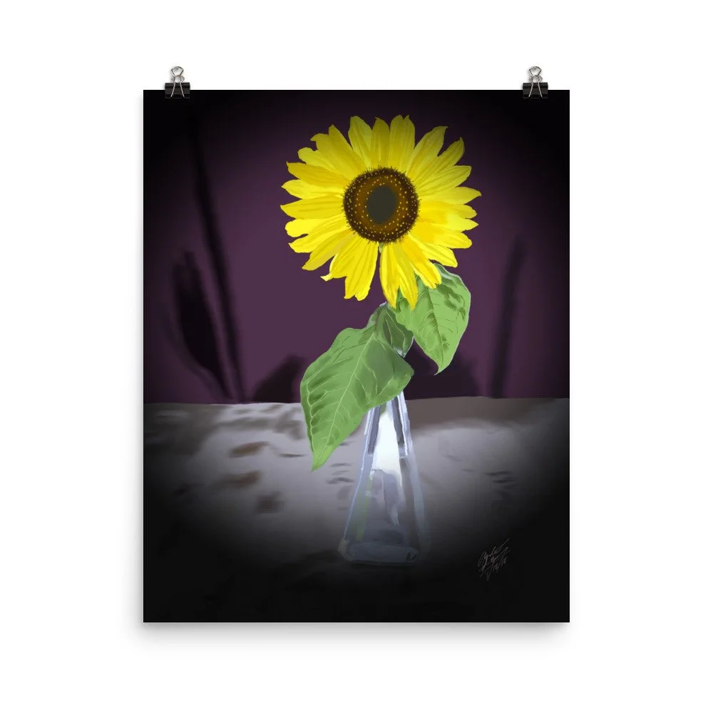 enhanced-matte-paper-poster-(in)-16x20-transparent-68d70e8b00a88.jpg