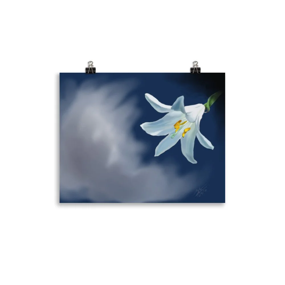 enhanced-matte-paper-poster-(in)-11x14-transparent-68d71487037b8.jpg