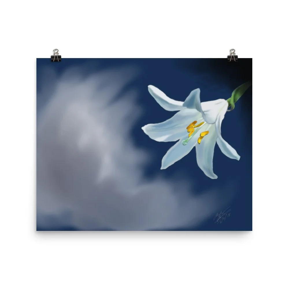 enhanced-matte-paper-poster-(in)-16x20-transparent-68d714870445b.jpg
