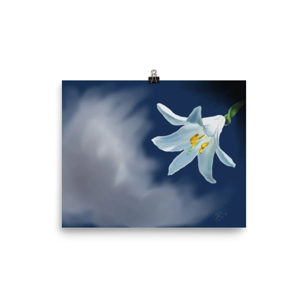enhanced-matte-paper-poster-(in)-8x10-transparent-68d71487046bc.jpg