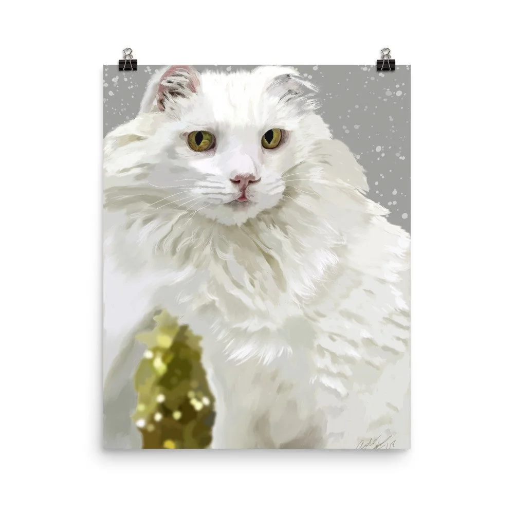 enhanced-matte-paper-poster-(in)-16x20-transparent-68d732512b59f.jpg