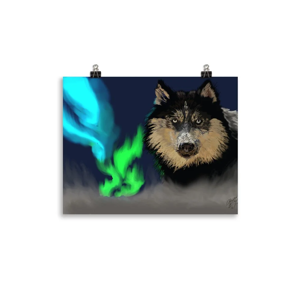 enhanced-matte-paper-poster-(in)-11x14-transparent-68d735e2c71c4.jpg
