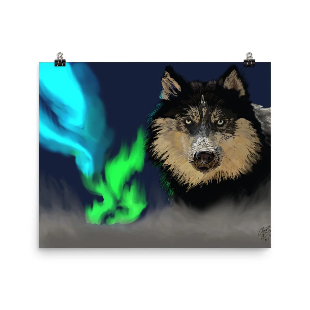 enhanced-matte-paper-poster-(in)-16x20-transparent-68d735e2c7ef6.jpg
