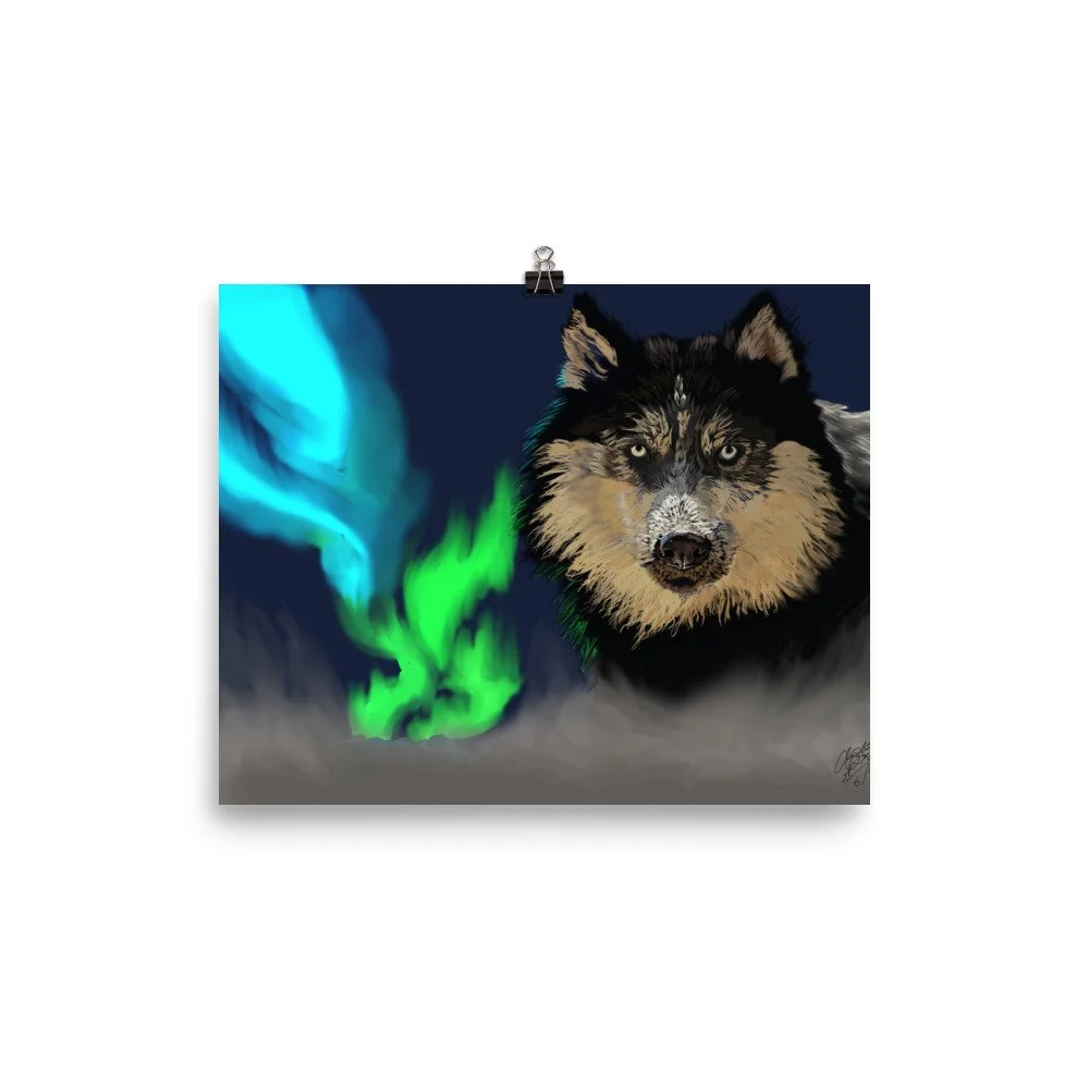 enhanced-matte-paper-poster-(in)-8x10-transparent-68d735e2c8172.jpg