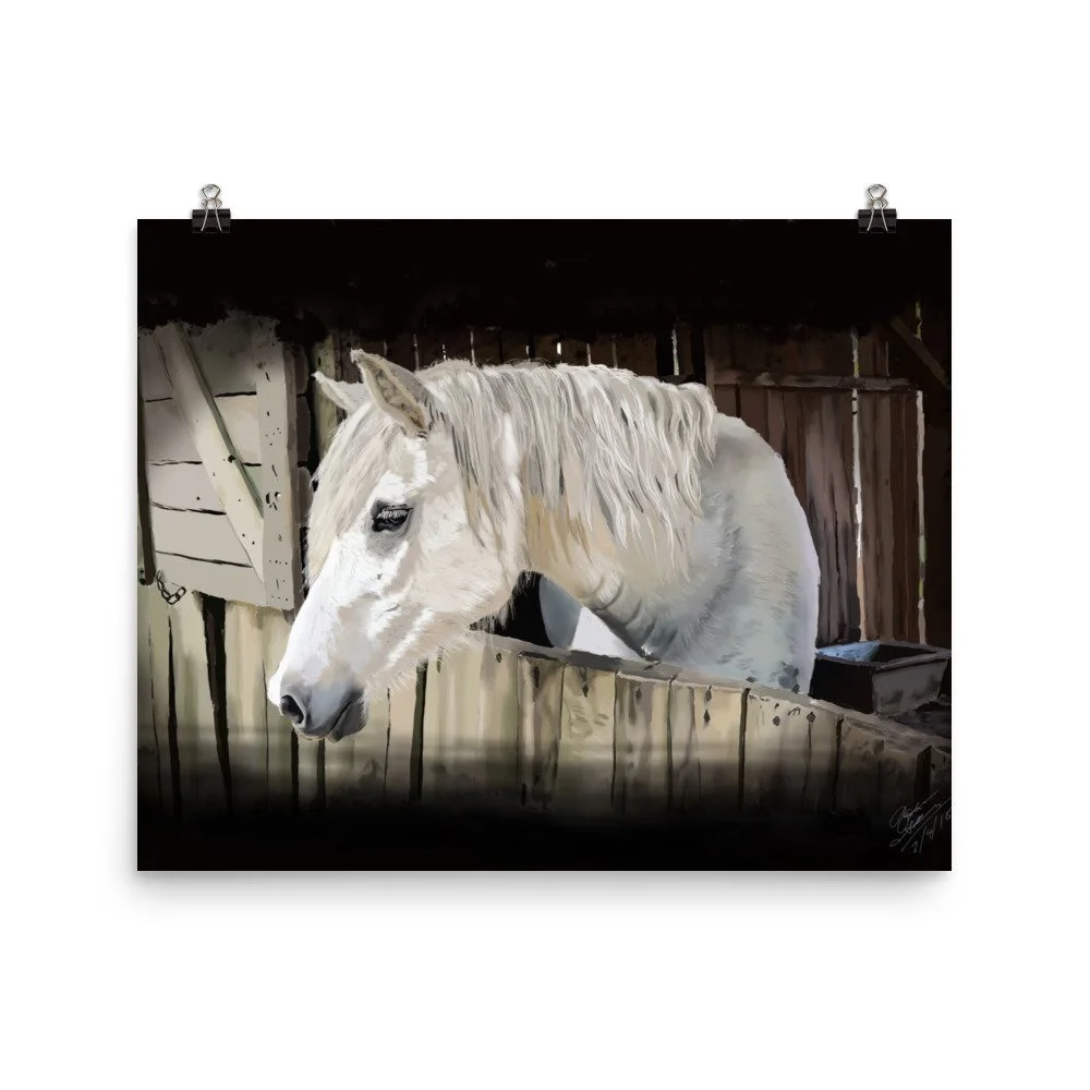 enhanced-matte-paper-poster-(in)-16x20-transparent-68d73b6a04fa3.jpg