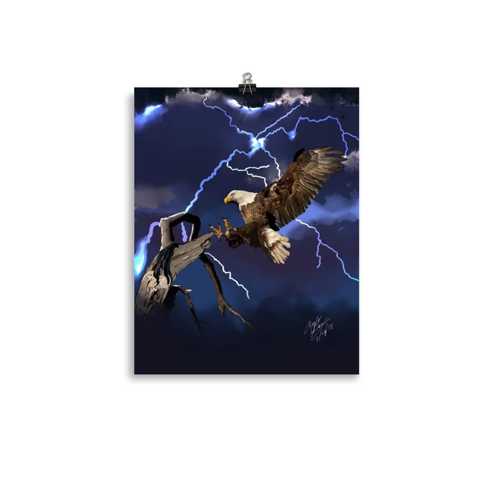 enhanced-matte-paper-poster-(in)-11x14-transparent-68d73e564358c.jpg