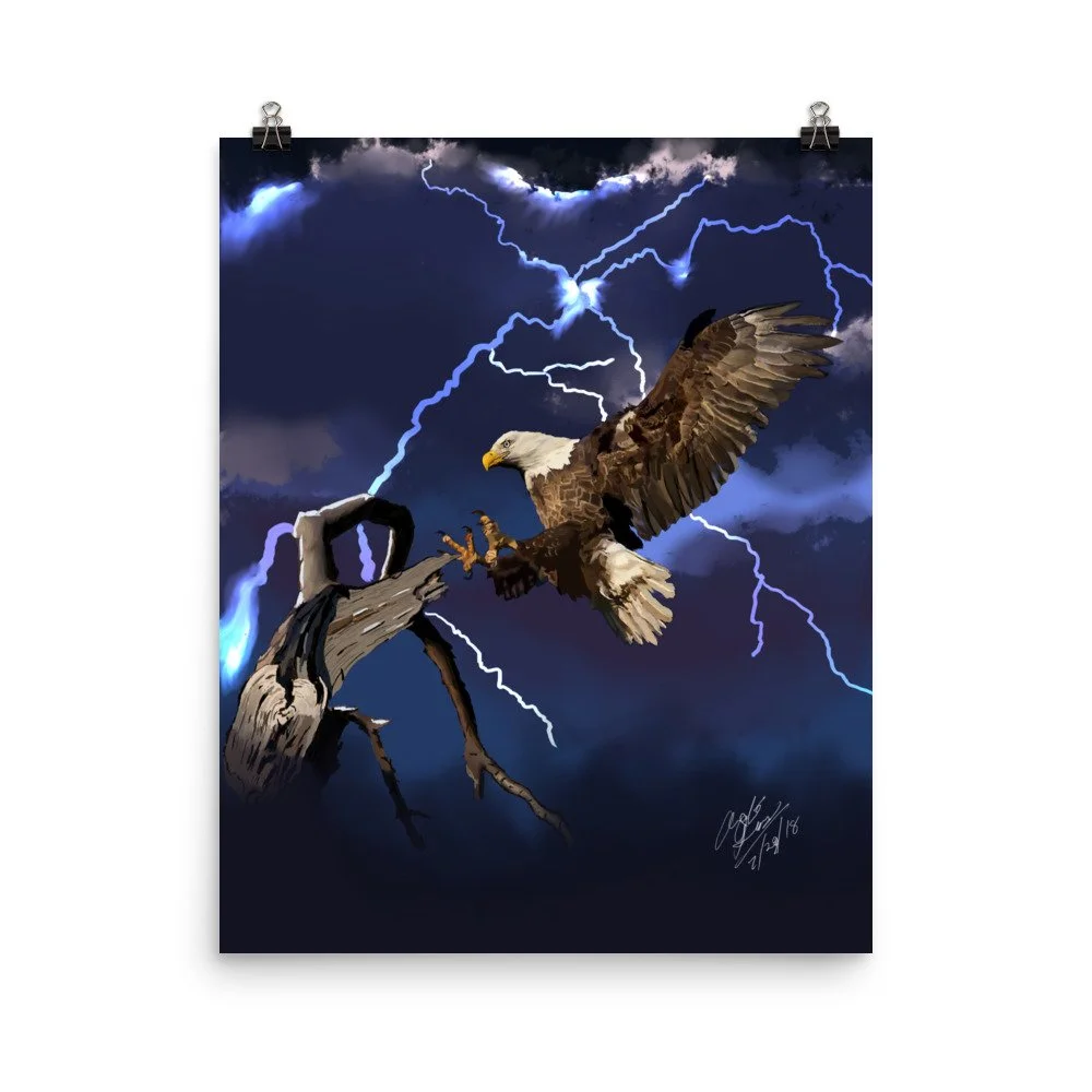 enhanced-matte-paper-poster-(in)-16x20-transparent-68d73e5644144.jpg