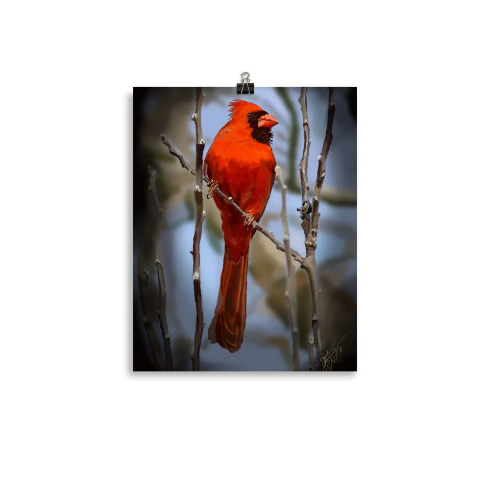 enhanced-matte-paper-poster-(in)-11x14-transparent-68d740750c91a.jpg
