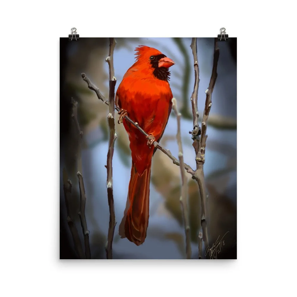 enhanced-matte-paper-poster-(in)-16x20-transparent-68d740750dace.jpg
