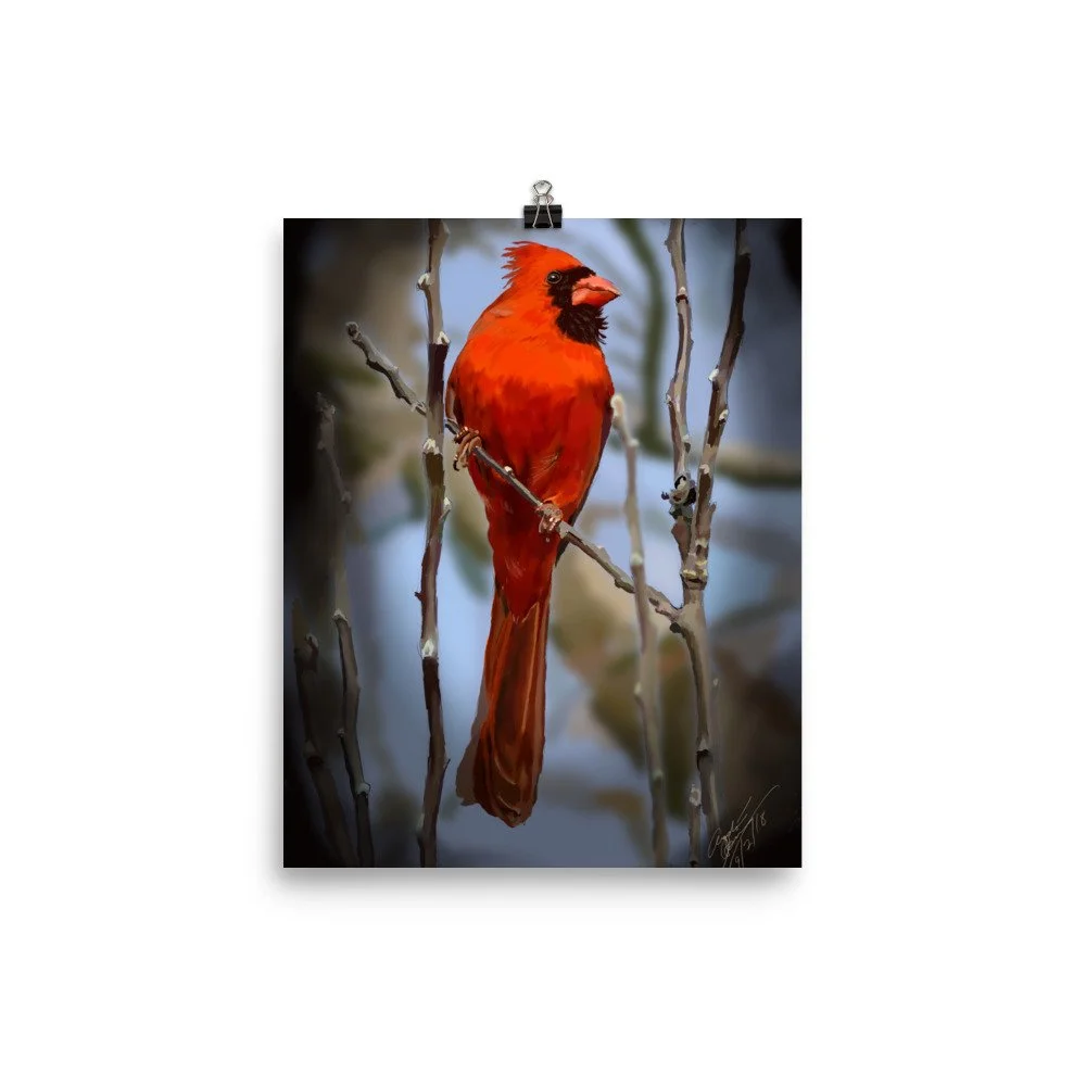 enhanced-matte-paper-poster-(in)-8x10-transparent-68d740750dc48.jpg