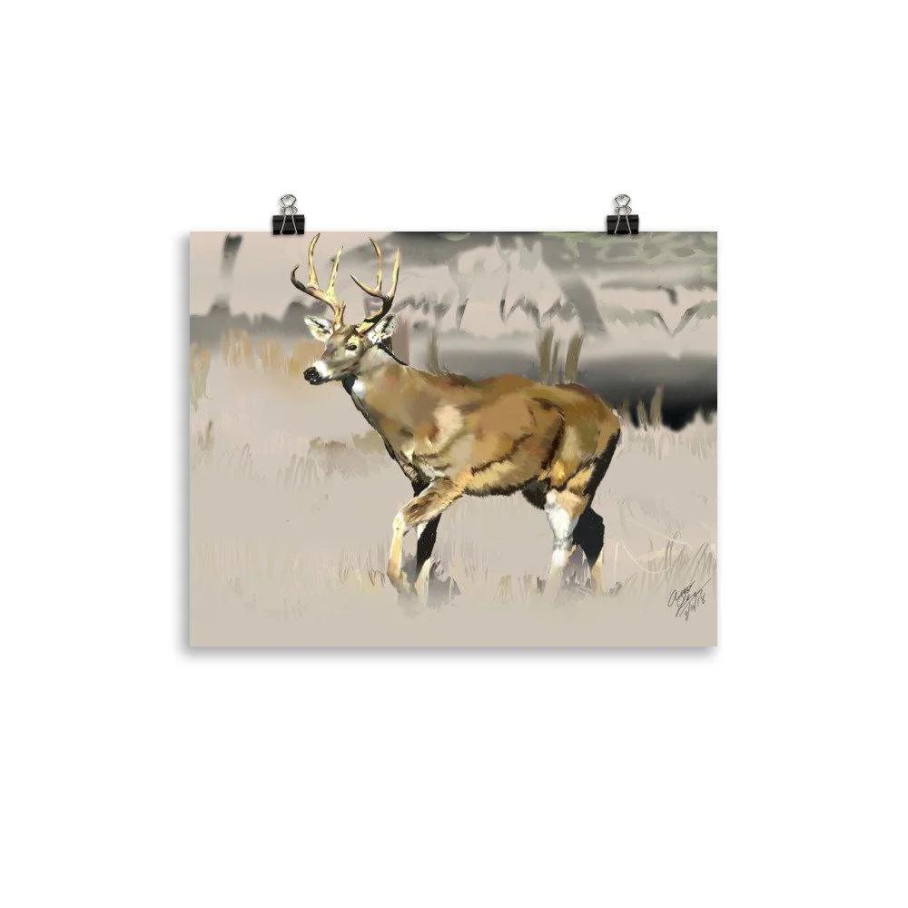 enhanced-matte-paper-poster-(in)-11x14-transparent-68d74189f2b62.jpg