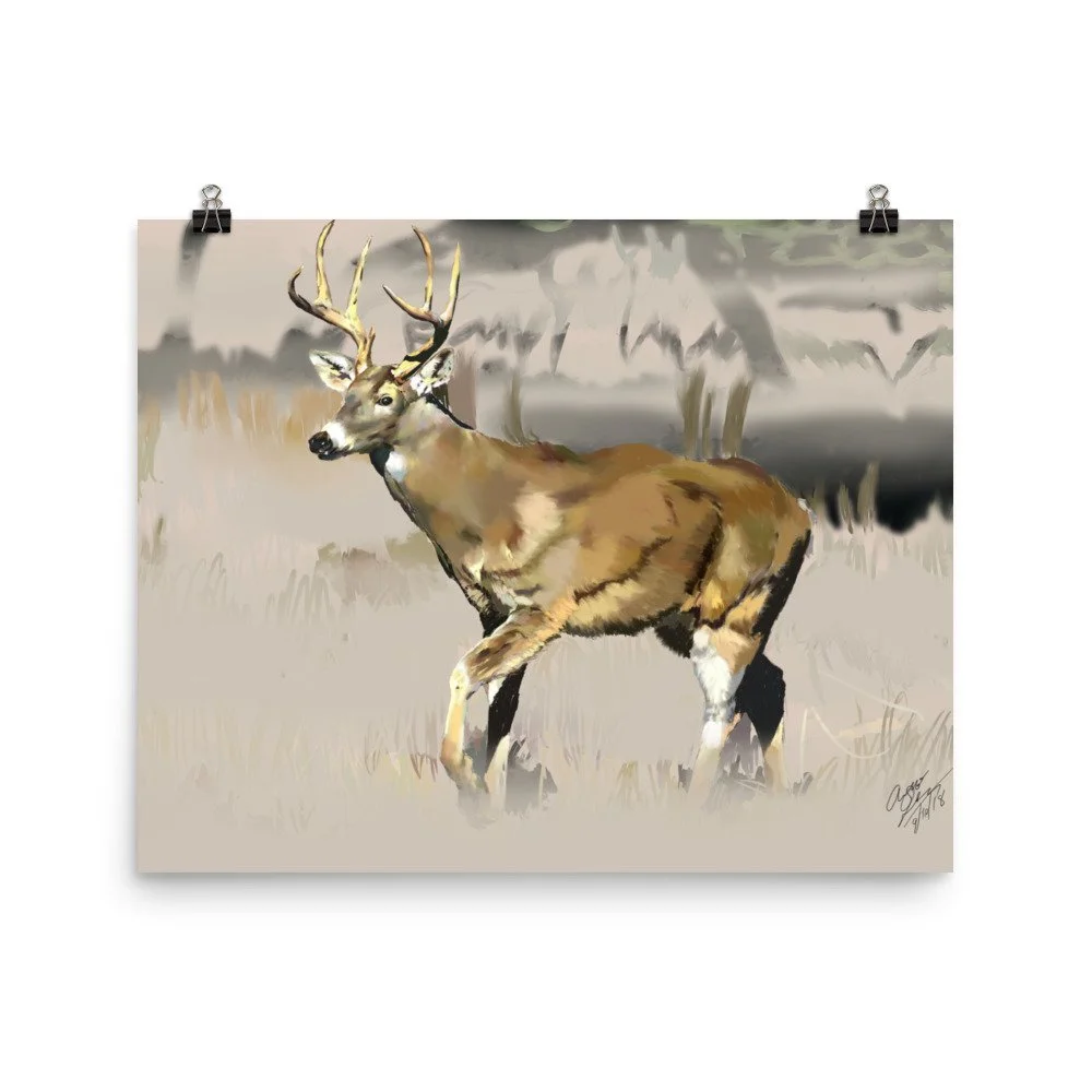 enhanced-matte-paper-poster-(in)-16x20-transparent-68d74189f3ce4.jpg