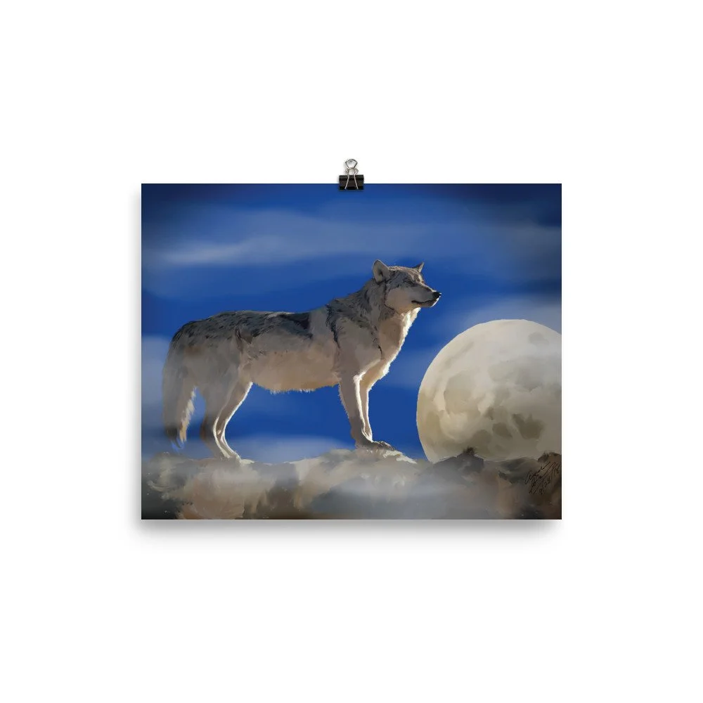 enhanced-matte-paper-poster-(in)-8x10-transparent-68d74bace2253.jpg