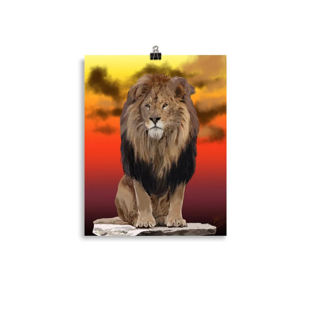 enhanced-matte-paper-poster-(in)-11x14-transparent-68d85cfced0c9.jpg