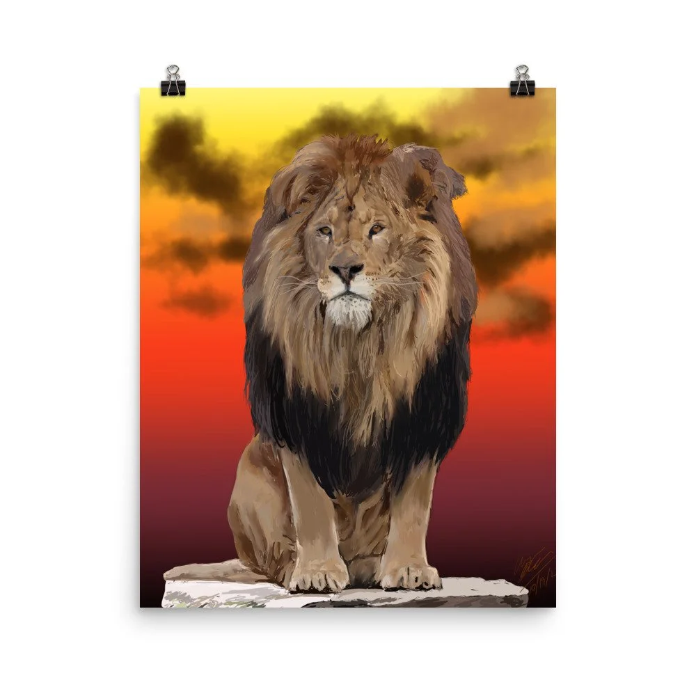 enhanced-matte-paper-poster-(in)-16x20-transparent-68d85cfcedcdc.jpg