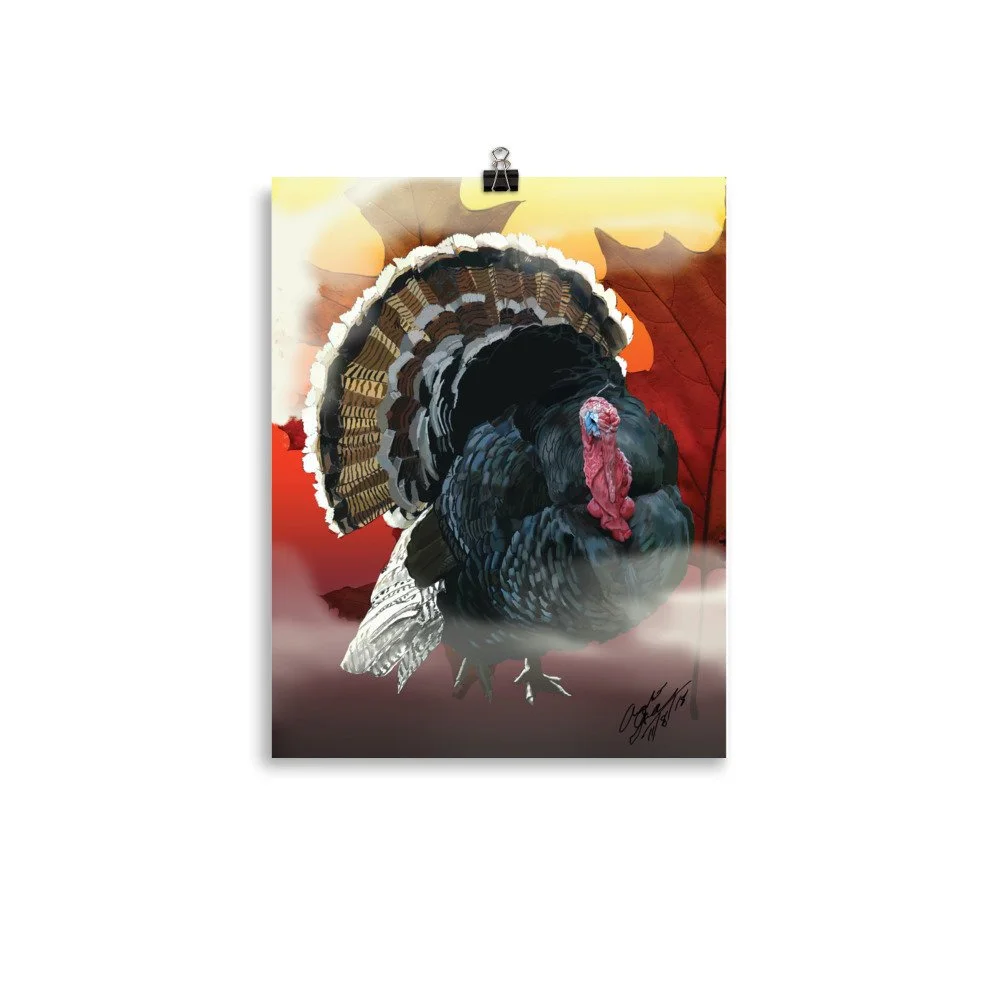 enhanced-matte-paper-poster-(in)-11x14-transparent-68d85fc58b912.jpg
