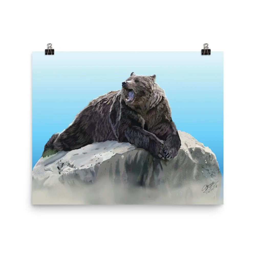 enhanced-matte-paper-poster-(in)-16x20-transparent-68d86491c03c1.jpg