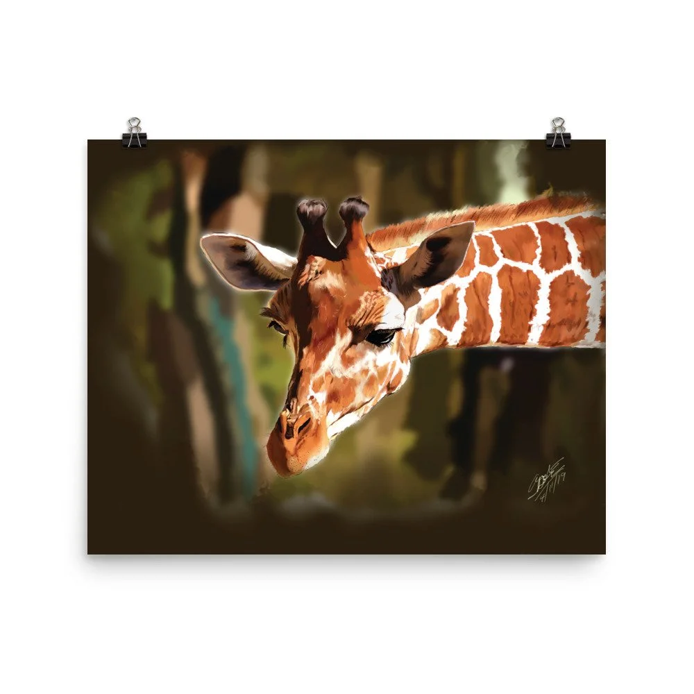 enhanced-matte-paper-poster-(in)-16x20-transparent-68d8824790c70.jpg