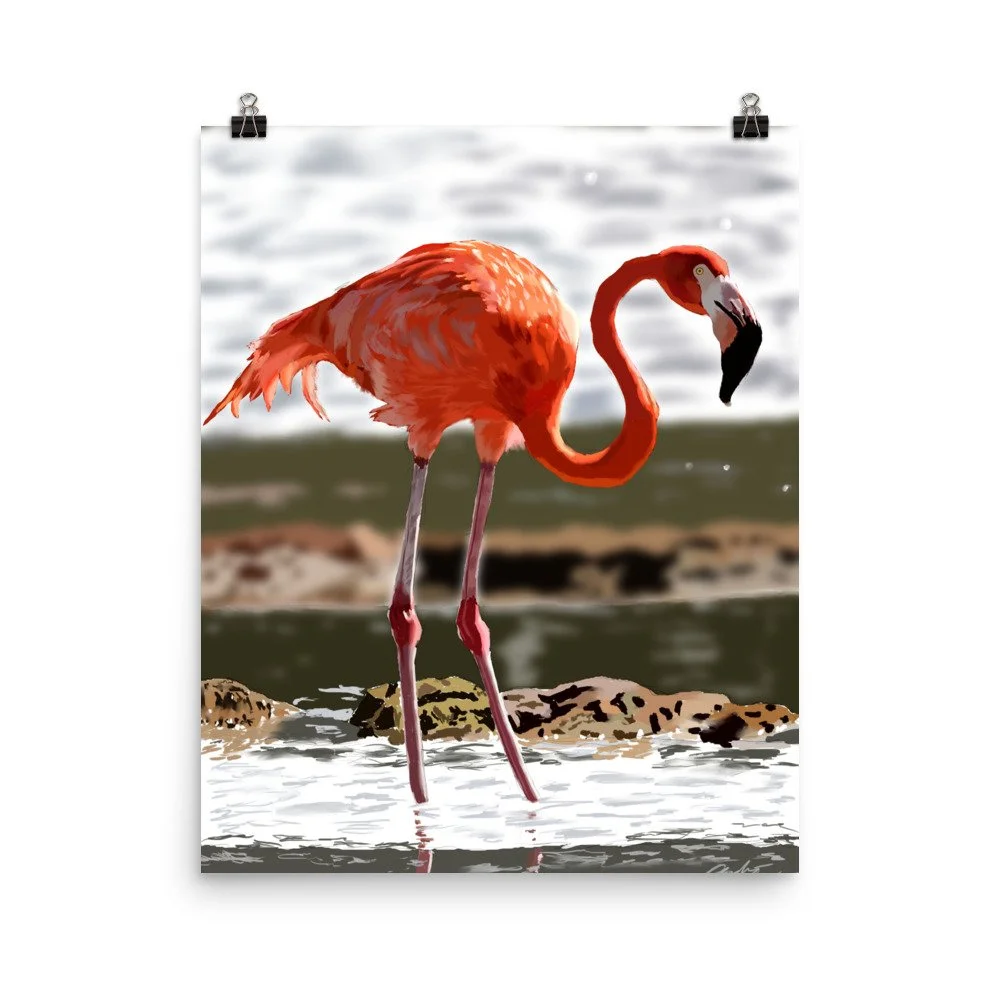 enhanced-matte-paper-poster-(in)-16x20-transparent-68d888e2274aa.jpg