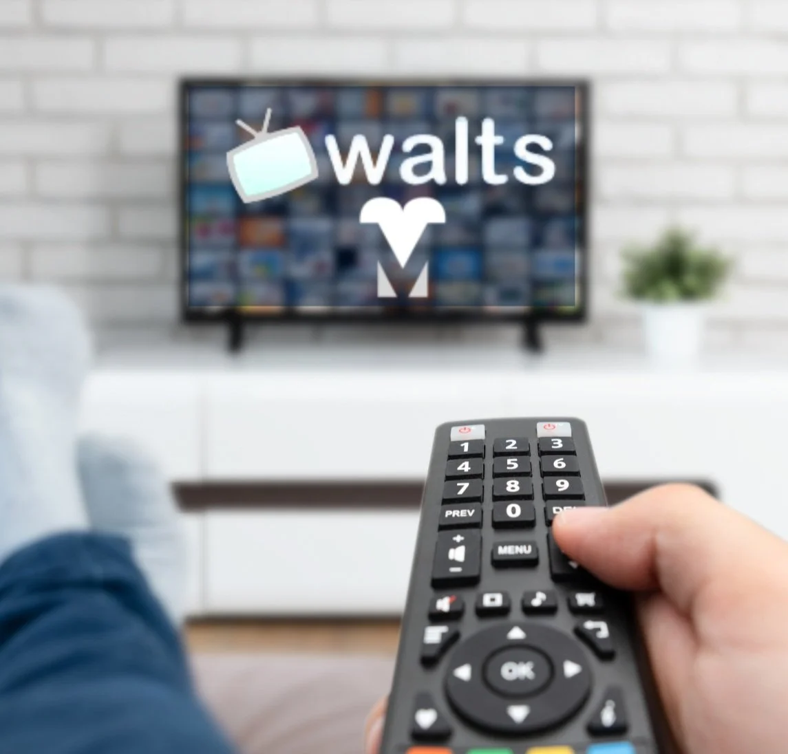 Walts TV Teddy Bear Drive
