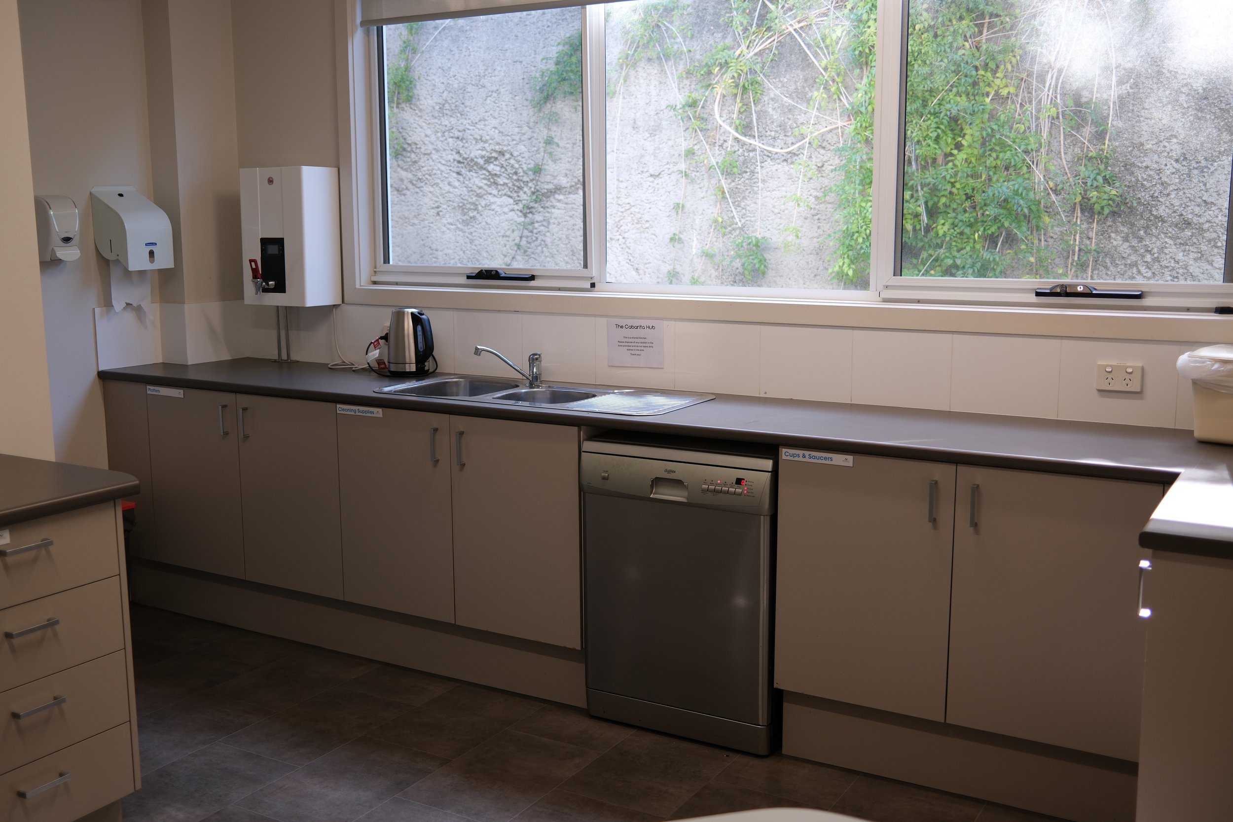 Kitchen with windows overlooking an outdoor wall covered in greenery and vines. Countertop with a kettle, sink, and dishwasher.
