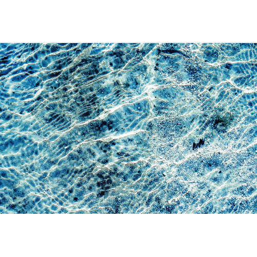 Barefoot Bottoms III