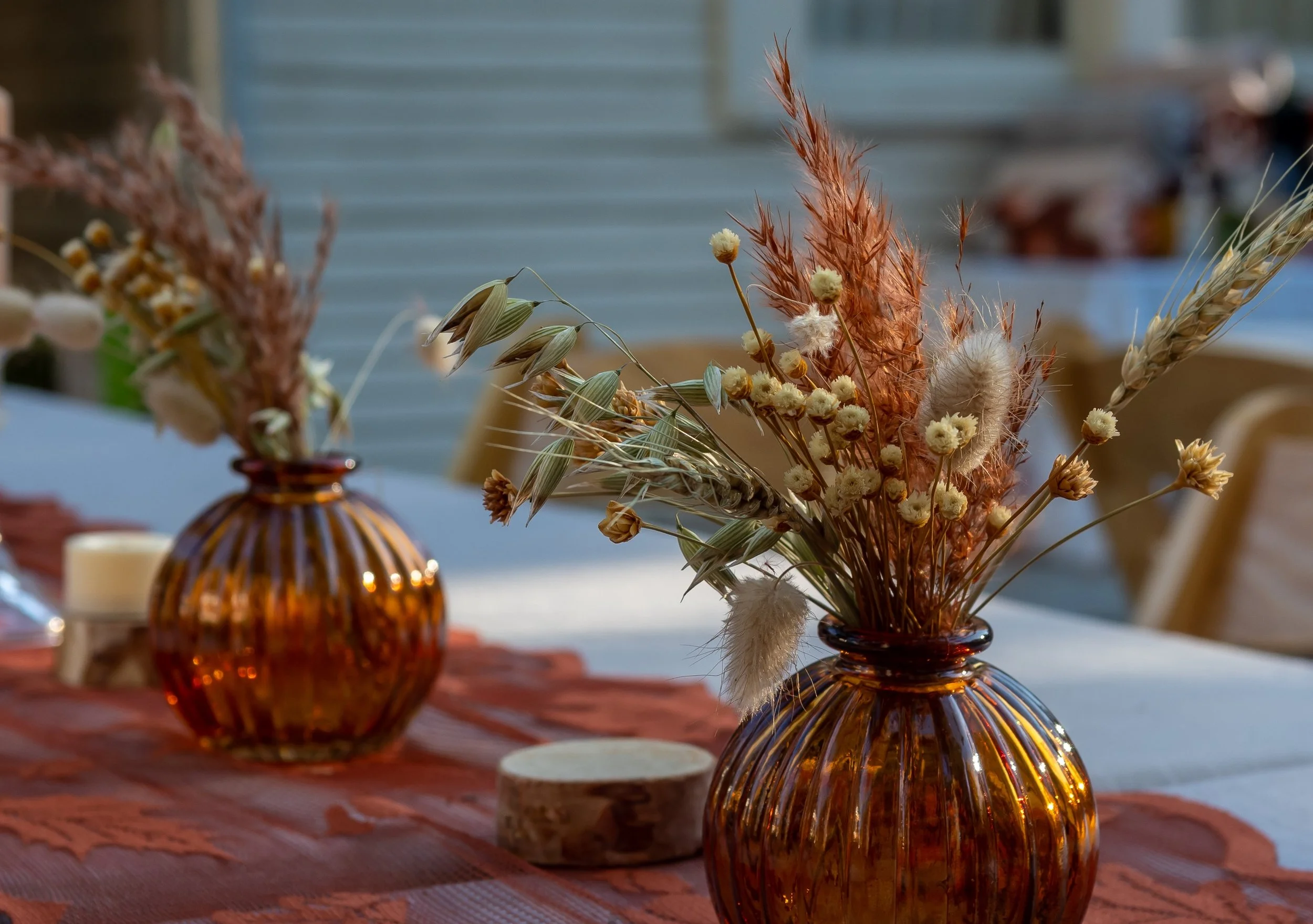 close up setting.jpg