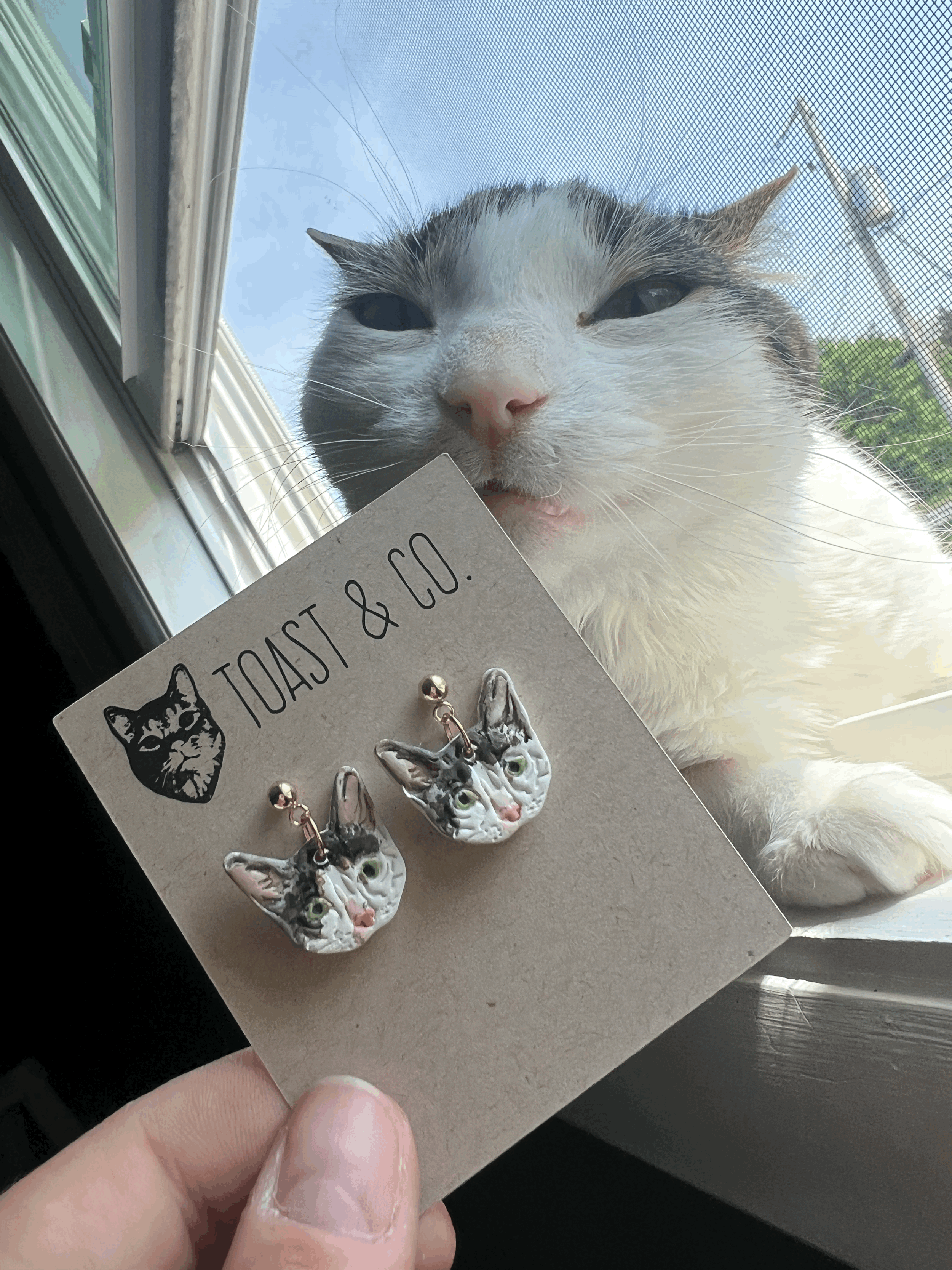 tempImageeS5uTE.gif