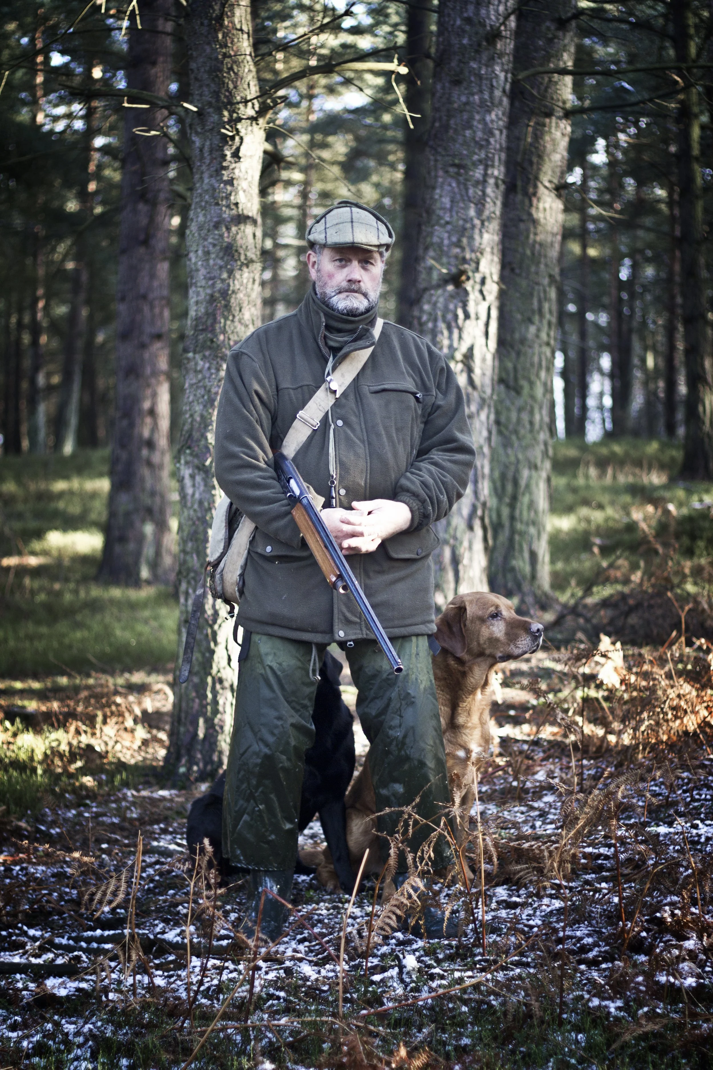gundog5.jpg