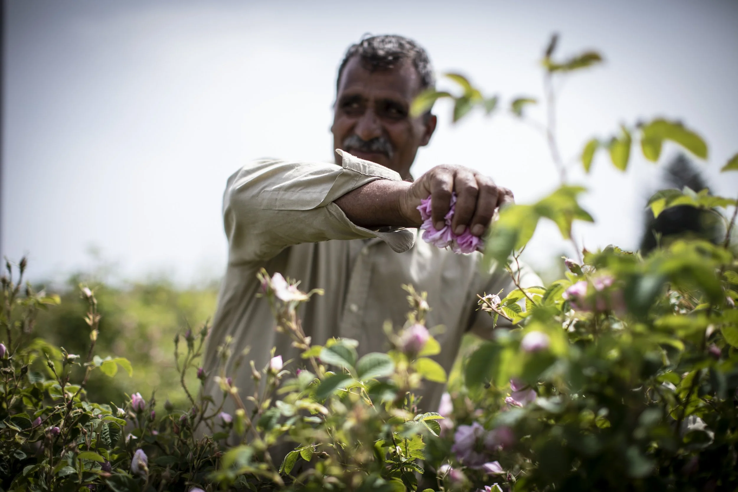 272A0720EMEIS - Cropped.JPG