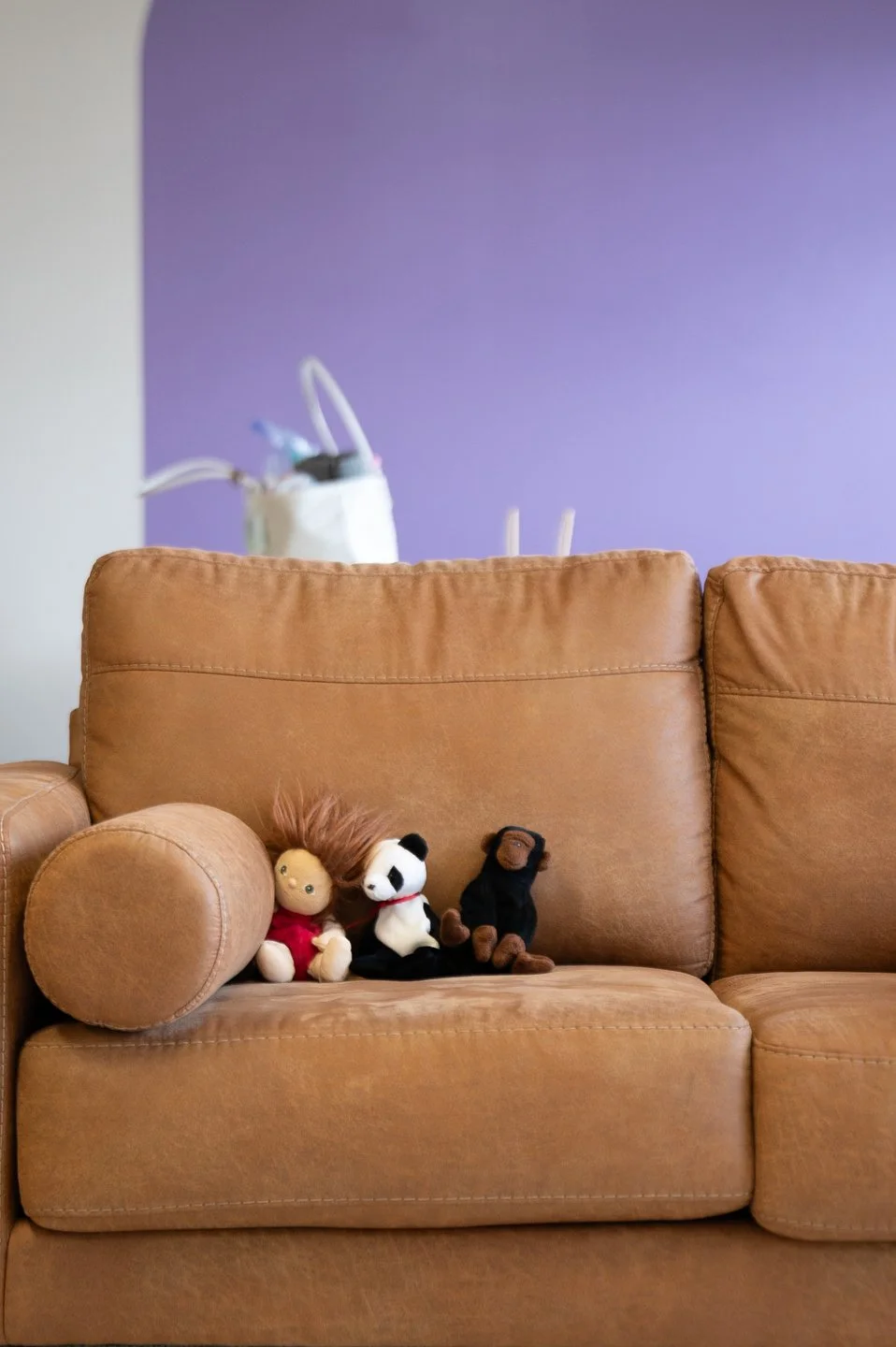 Stuffies on the couch