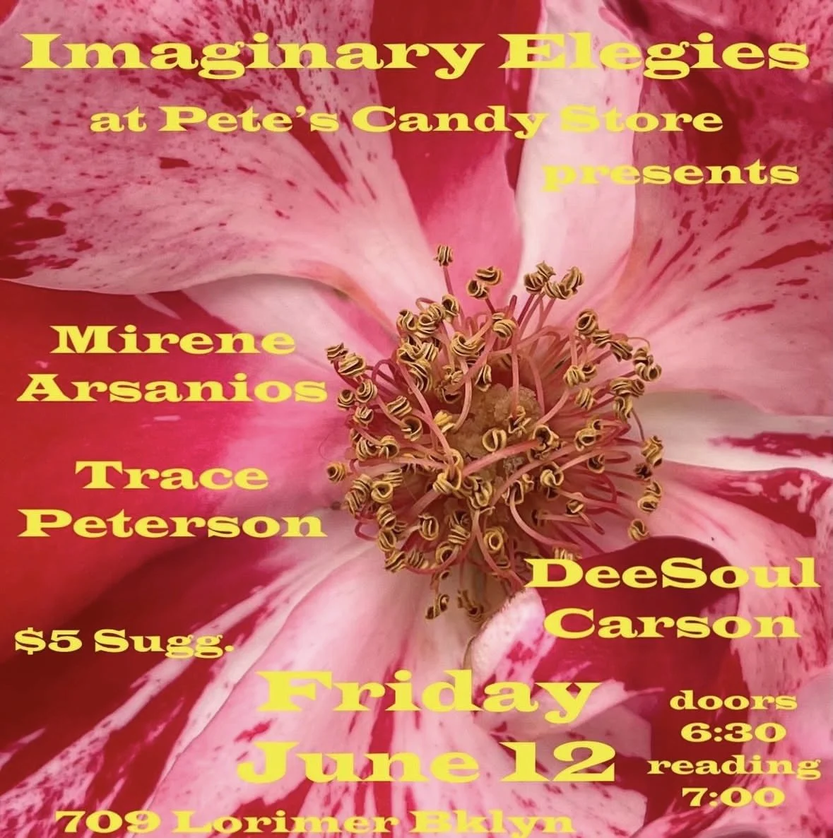 Imaginary Elegies