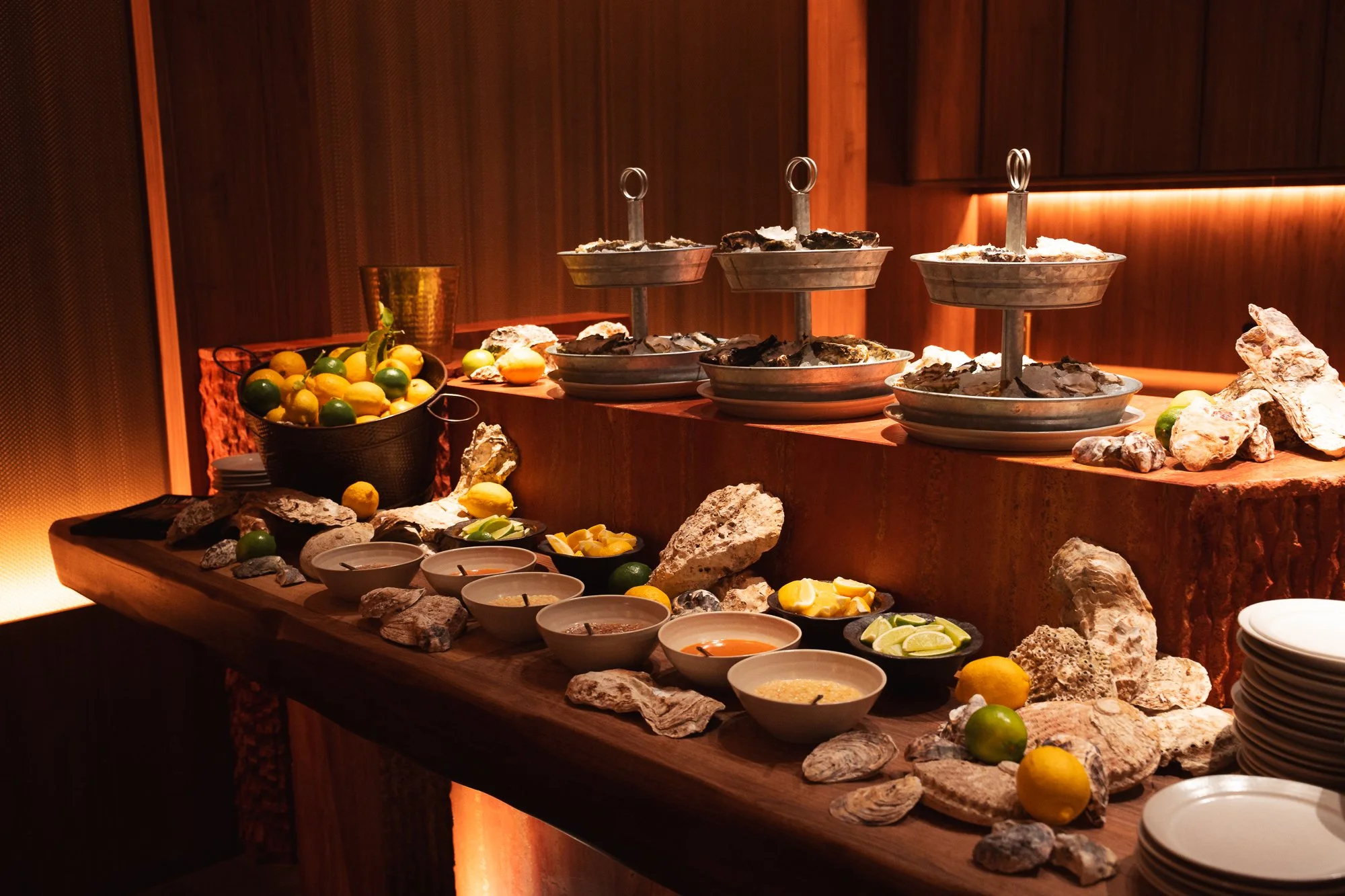 Singer Launch Oct '25 (2).jpg