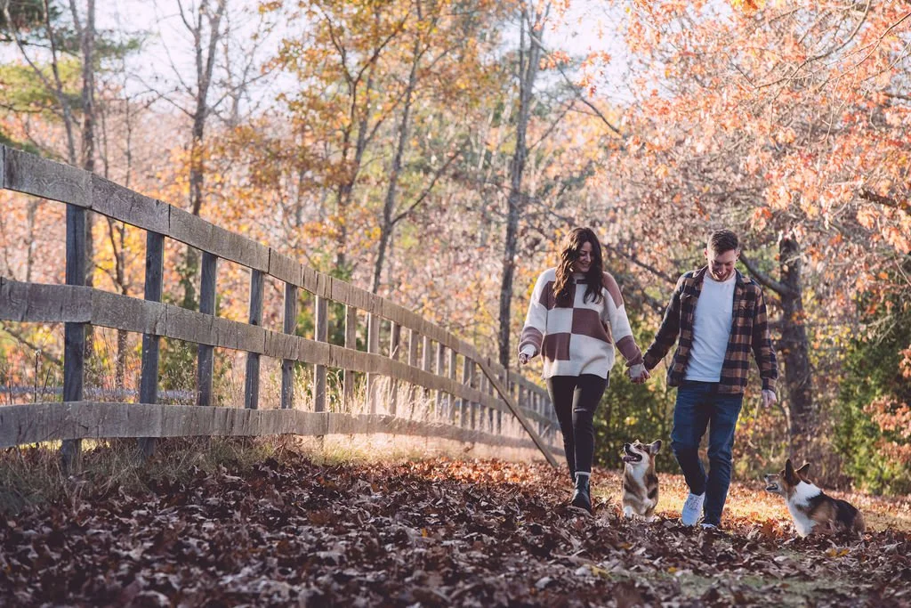 Sarah and Alex holding hands while walking along a wooden fence with their two Corgis running alongside them through the leaves during their fall engagement session at the Urban Forestry Center in Portsmouth, NH. Photography by Mike Indi.