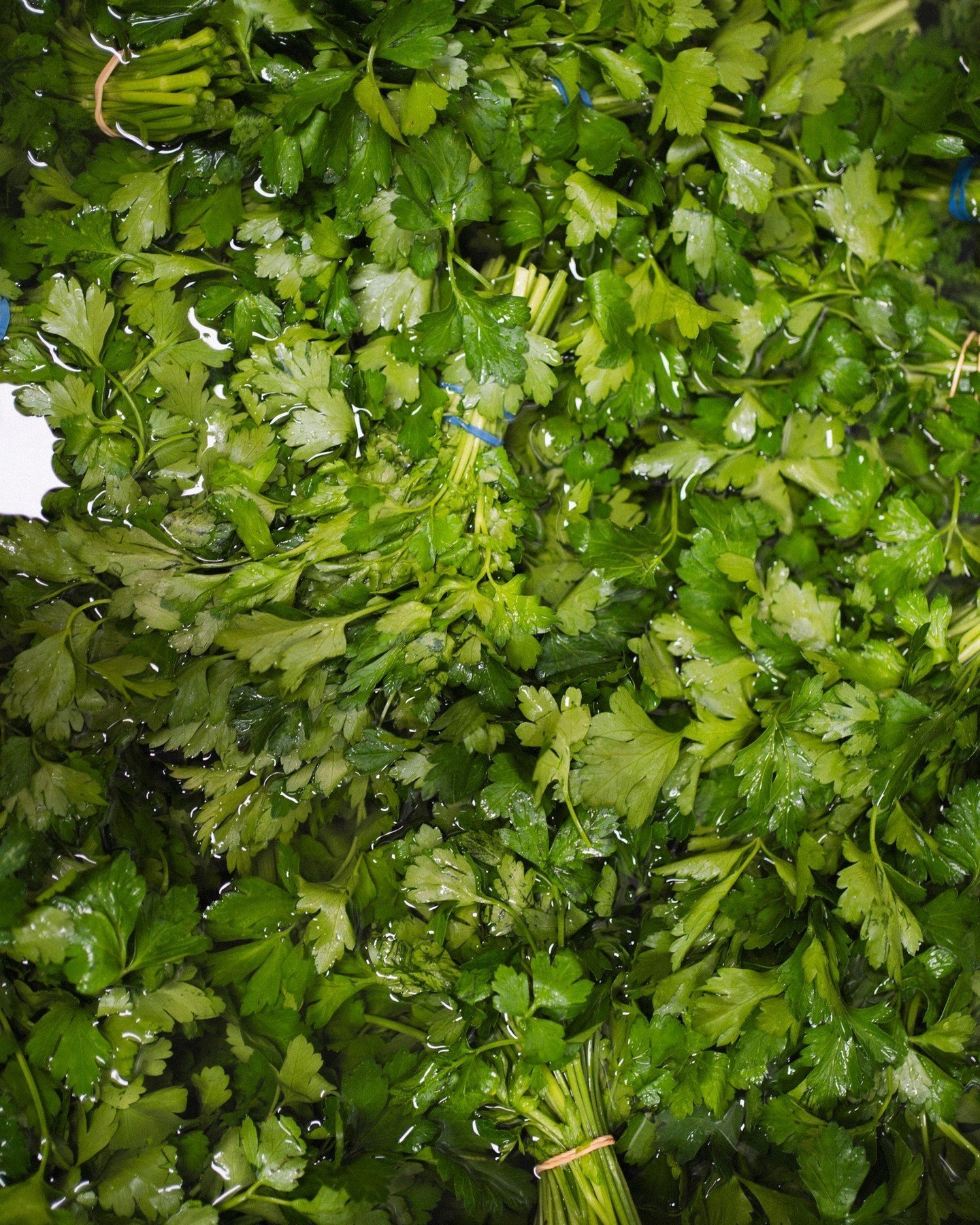 Lebanese cooking is all about the fresh herbs! Did you know we pride ourselves in making everything in-house?
