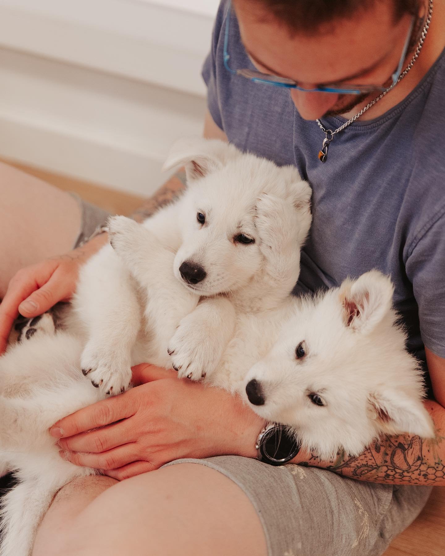 Quelle race aimeriez-vous voir dans nos prochaines sessions de Puppy Yoga ? 🐶 

&laquo;&nbsp;Blanc comme neige&nbsp;&raquo; repr&eacute;sente parfaitement nos petits loups tout blancs. Les Berger Blanc Suisse @les_rives_du_lugano se sont pr&ecirc;t&