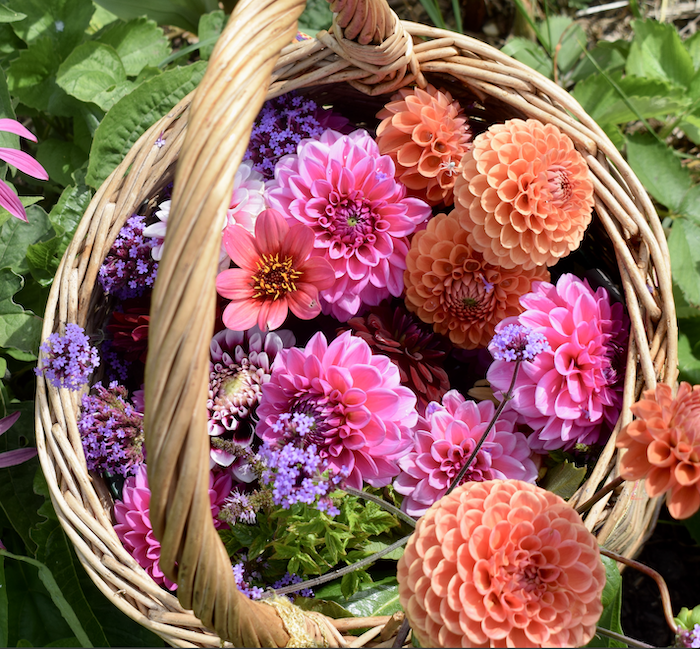 flower basket.png