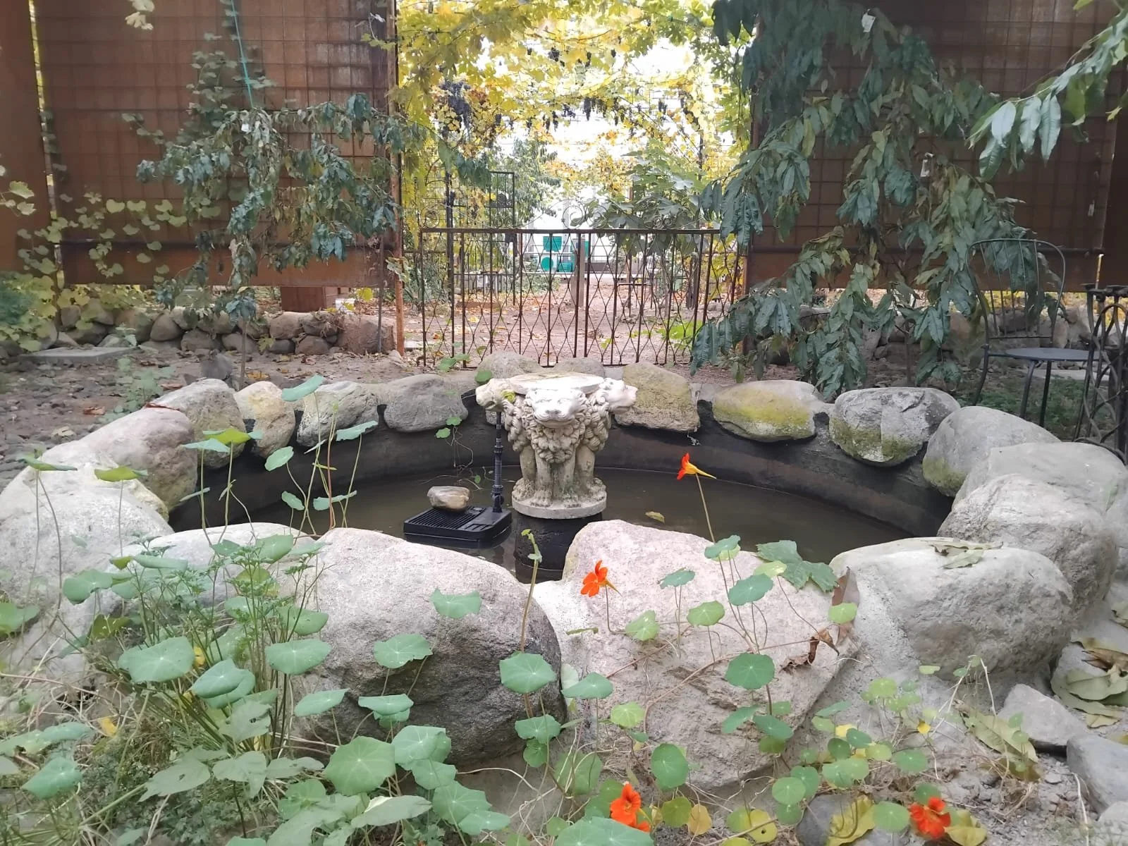 WhatsApp Image 2025-12-17 at 21.24.01.jpeg