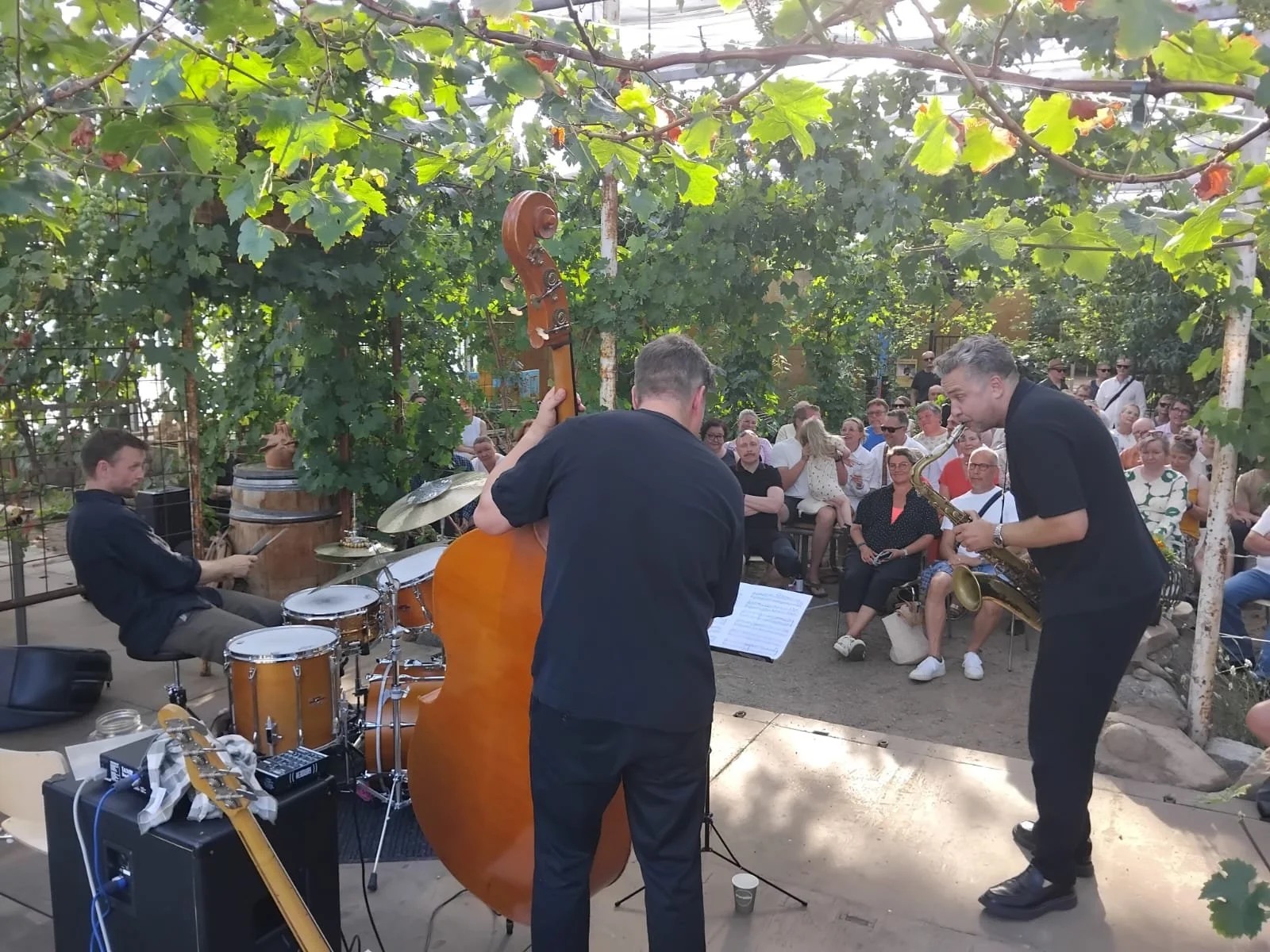 WhatsApp Image 2025-12-17 at 21.24.021.jpeg