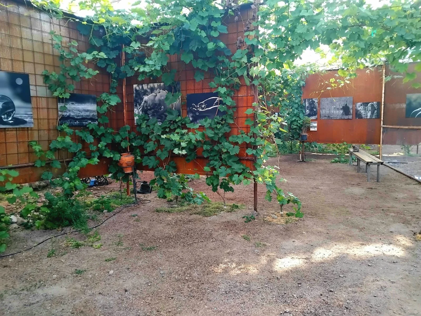 WhatsApp Image 2025-12-17 at 21.24.03123521.jpeg