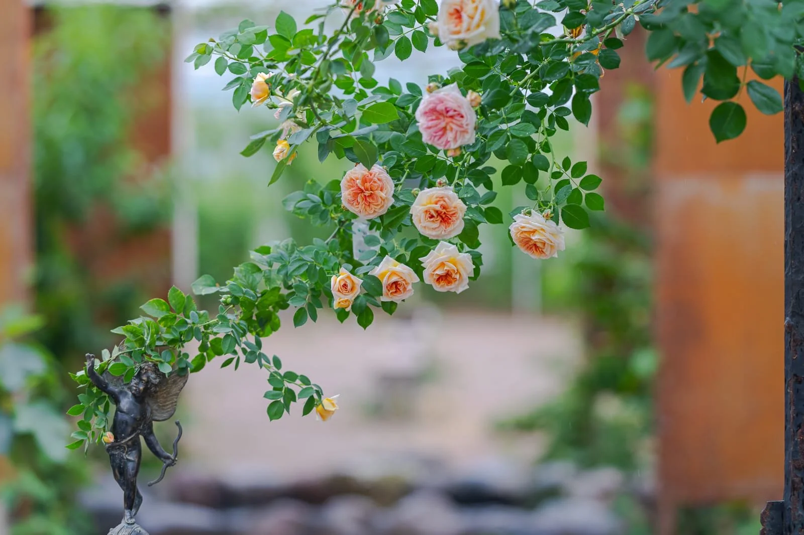 WhatsApp Image 2025-12-17 at 21.24.04162.jpeg