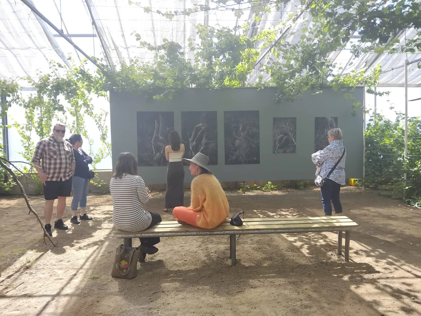 WhatsApp Image 2025-12-17 at 21.24.021243.jpeg