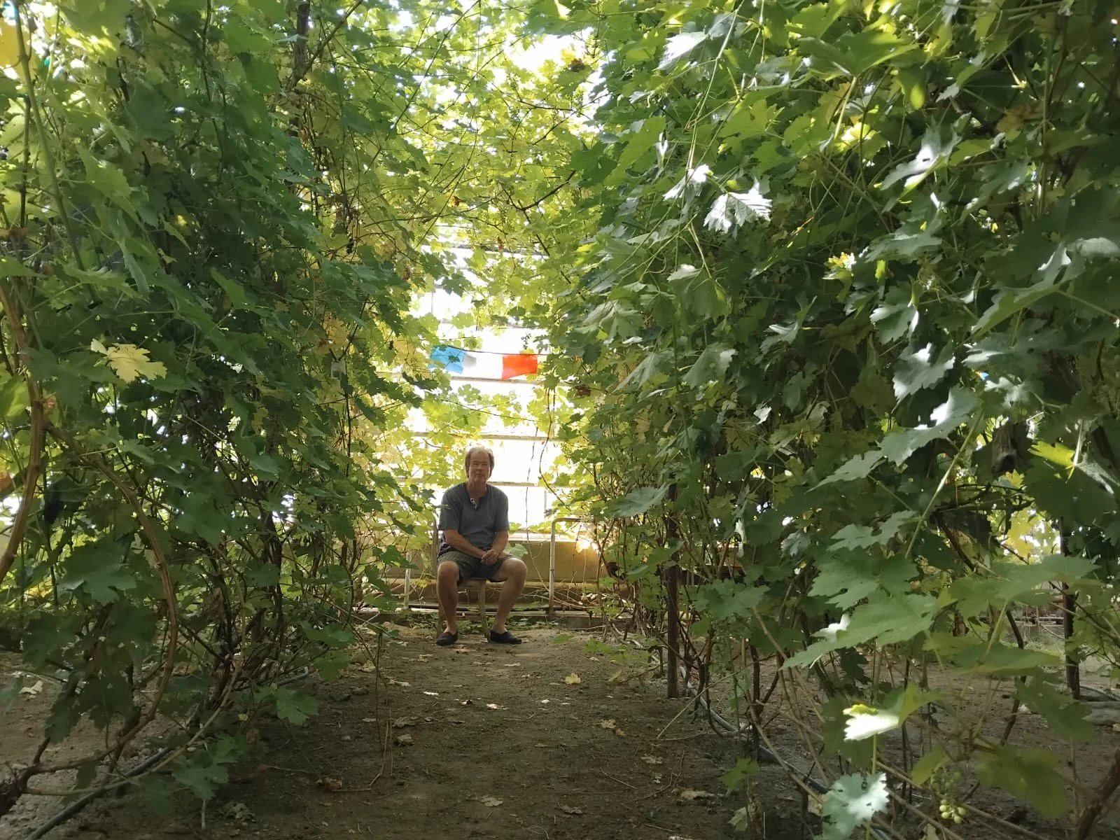 WhatsApp Image 2025-12-17 at 21.24.02121.jpeg