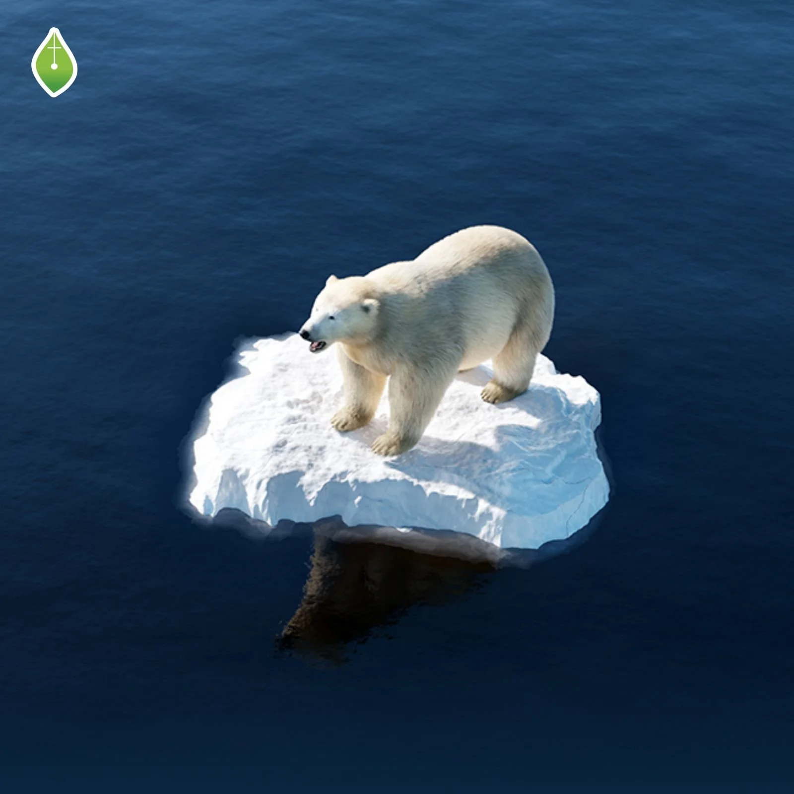 Walking on Thin Ice