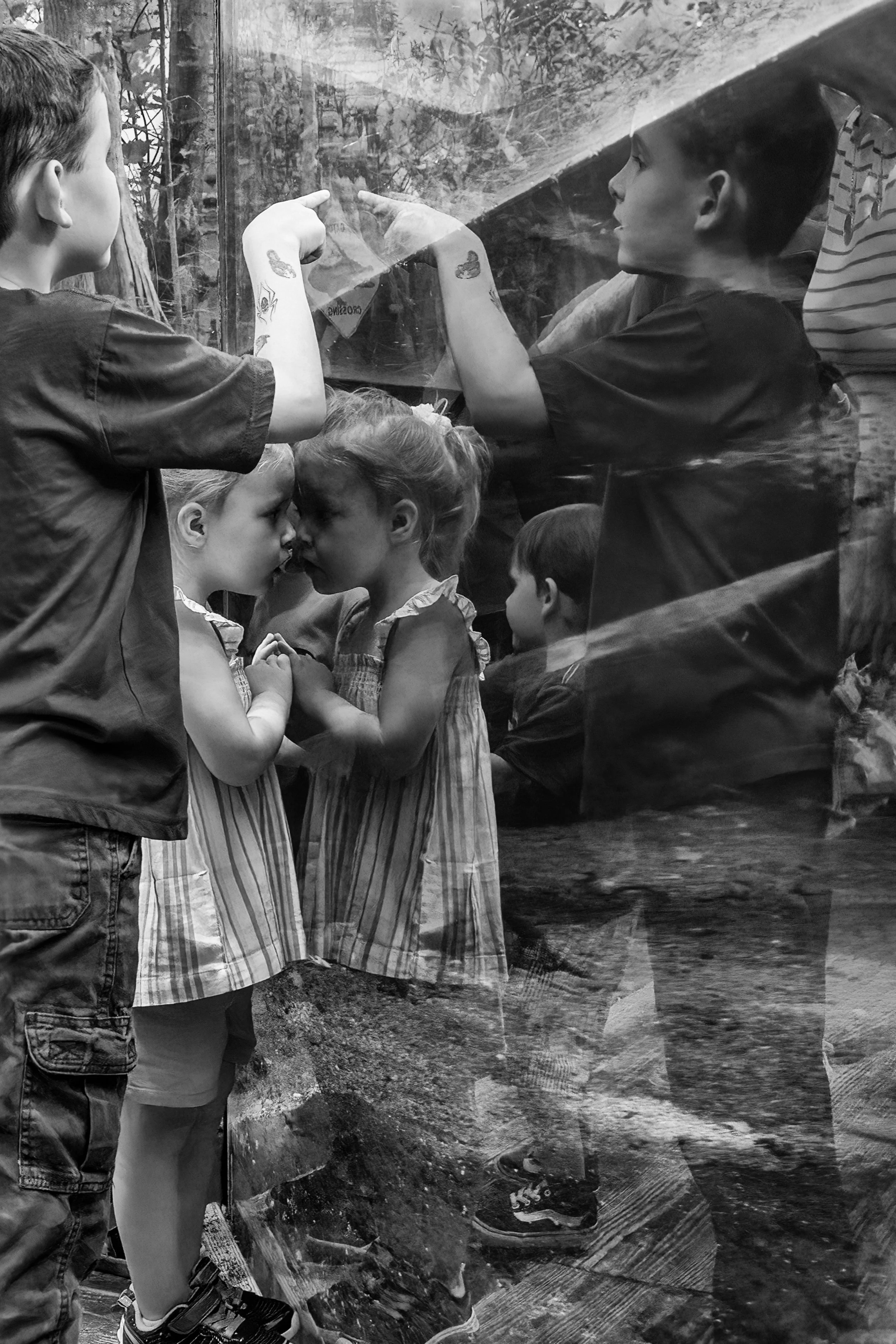 Laura Williams Photography_street scene_chattanooga_mirror_aquarium-9.jpg