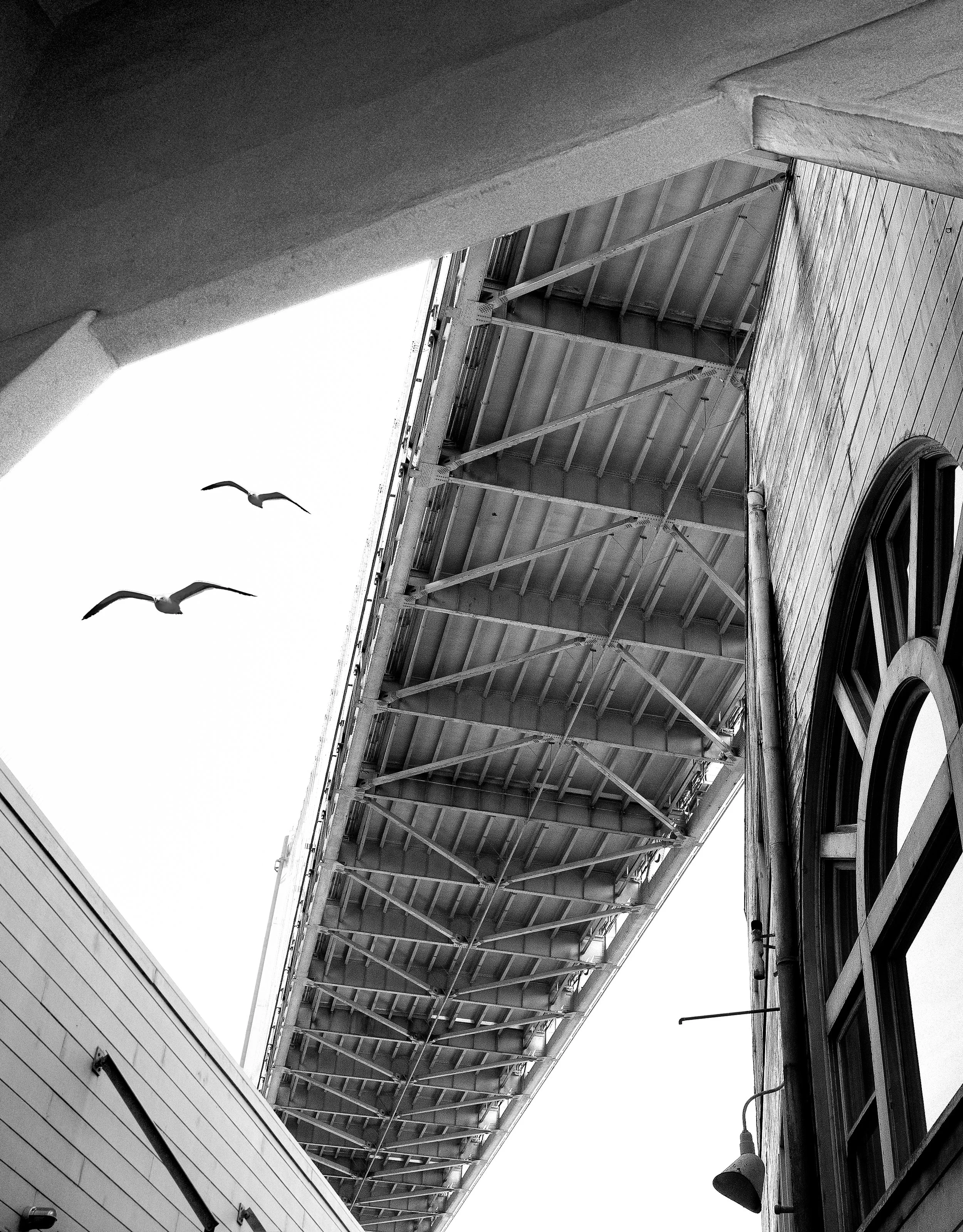 Laura Williams Photography_street scene_pier_san francisco-7.jpg
