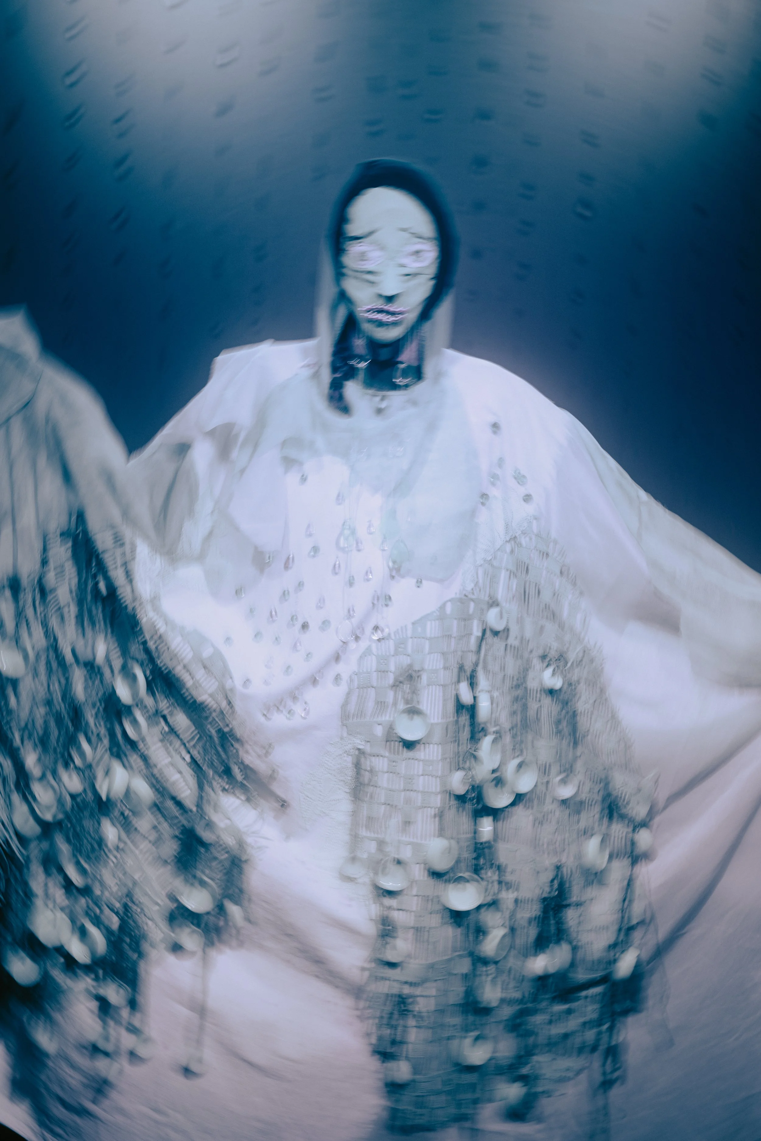 DSC01378.jpg